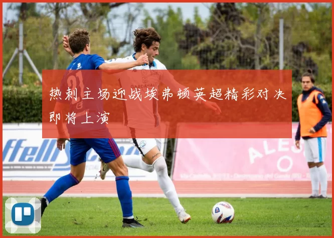 热刺主场迎战埃弗顿英超精彩对决即将上演