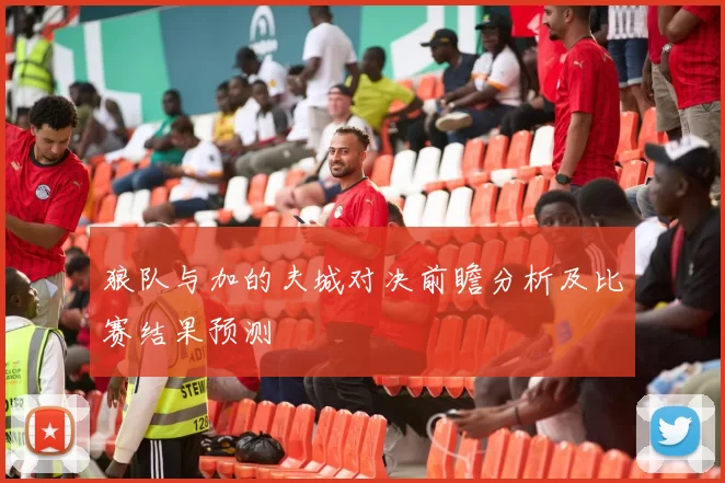 狼队与加的夫城对决前瞻分析及比赛结果预测